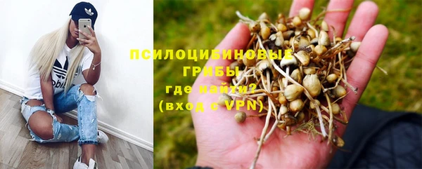 герыч Белокуриха