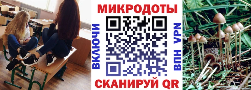 Псилоцибиновые грибы мухоморы  Мариинский Посад 